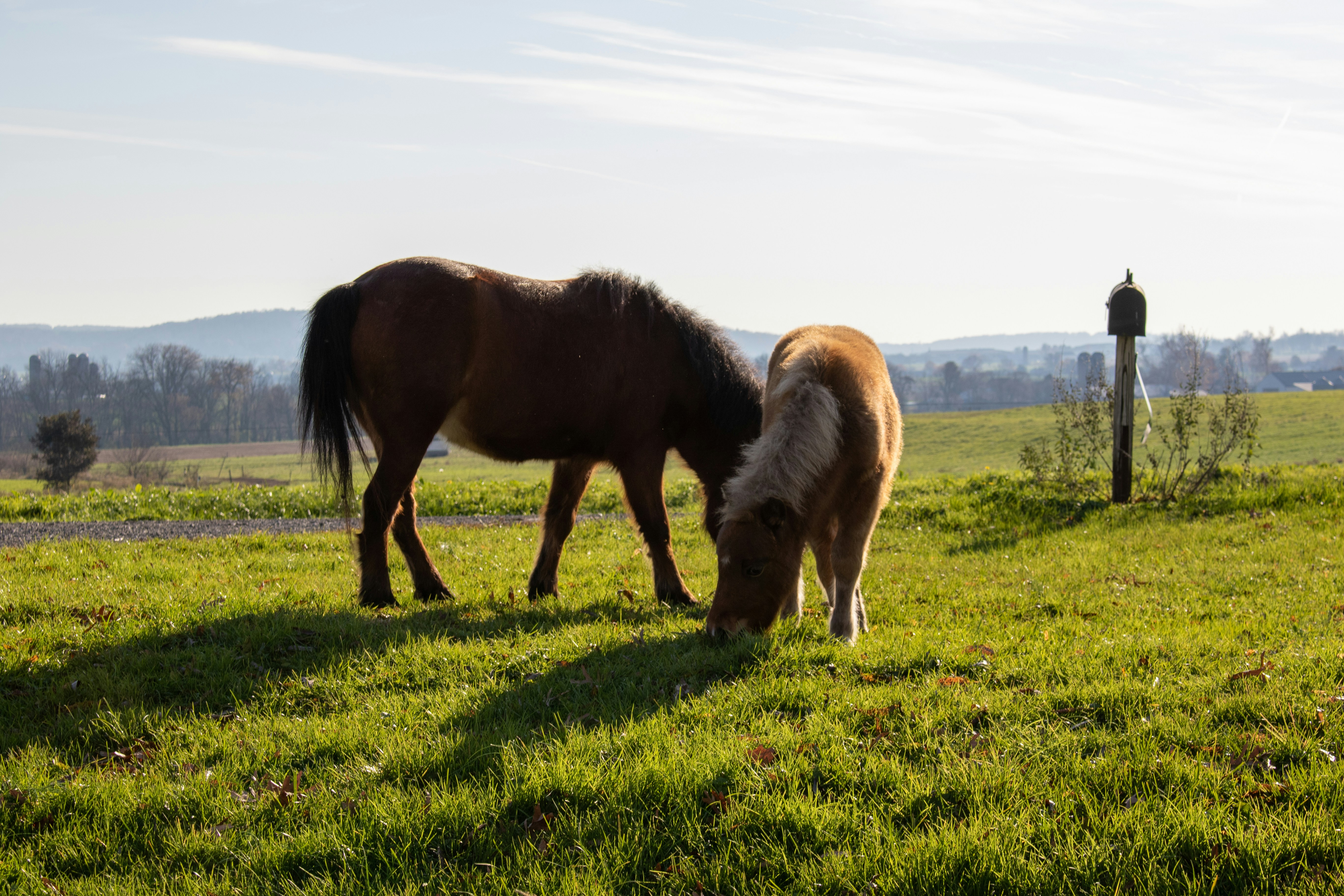 Photo by catt_titude