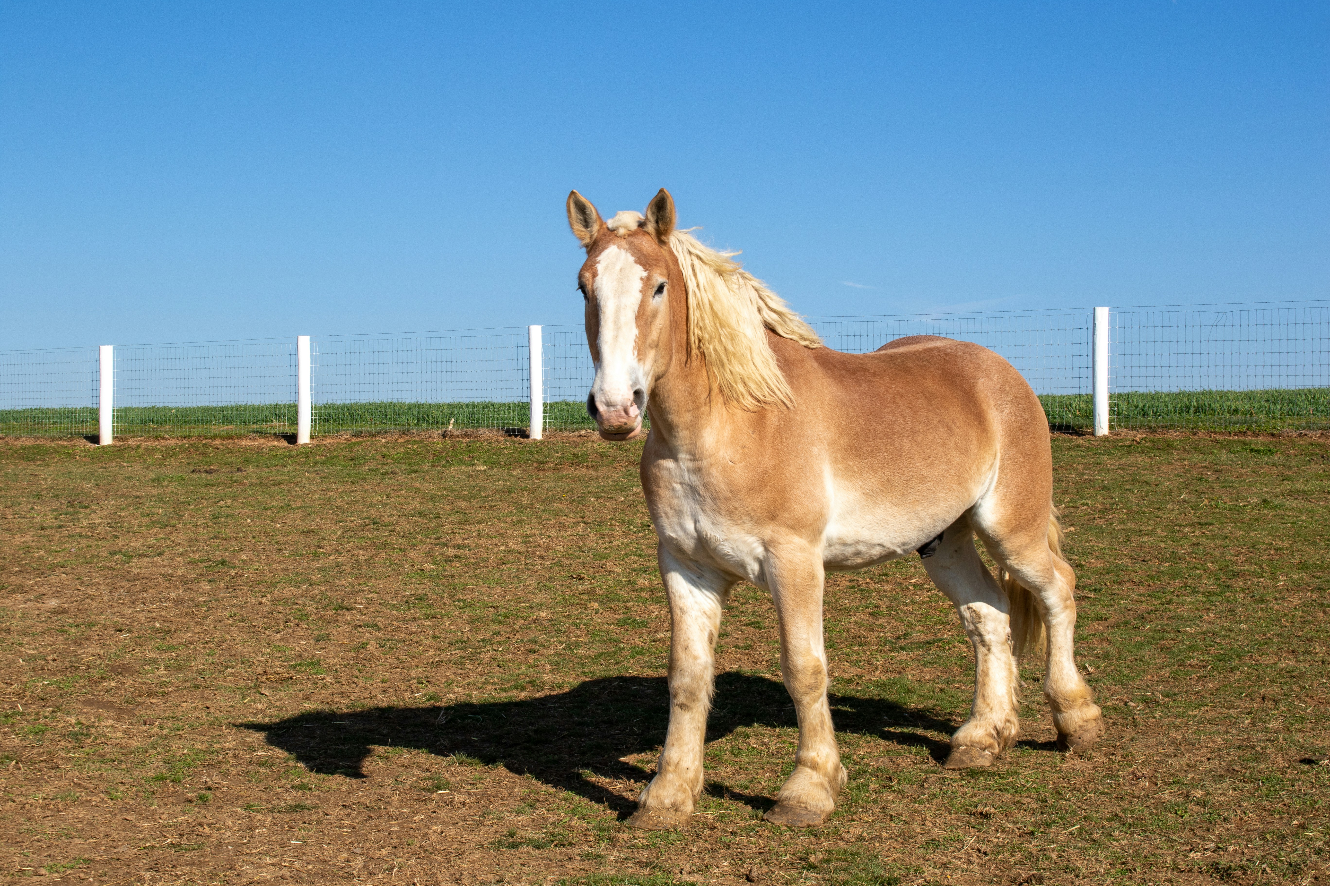 Photo by catt_titude