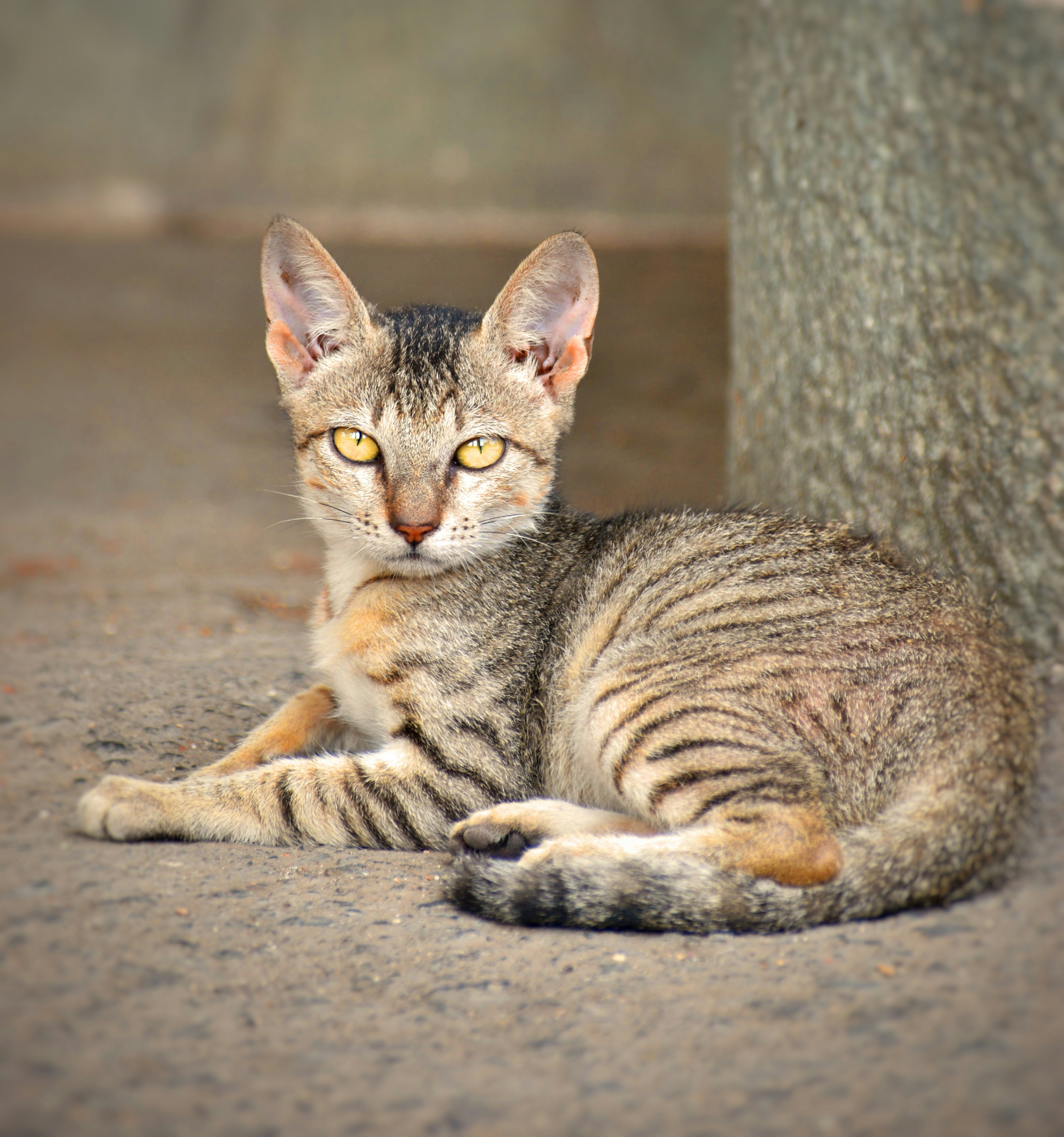 Photo by rishu_bhosale