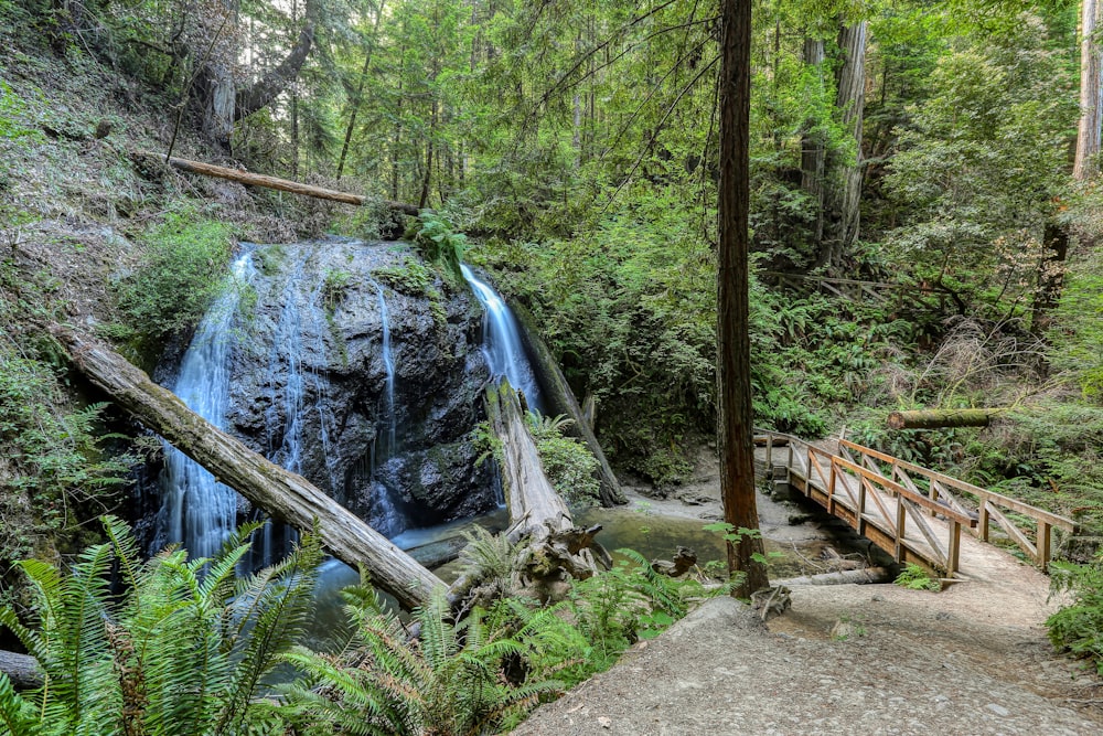 a wooden bridge over a small waterfall in a forest