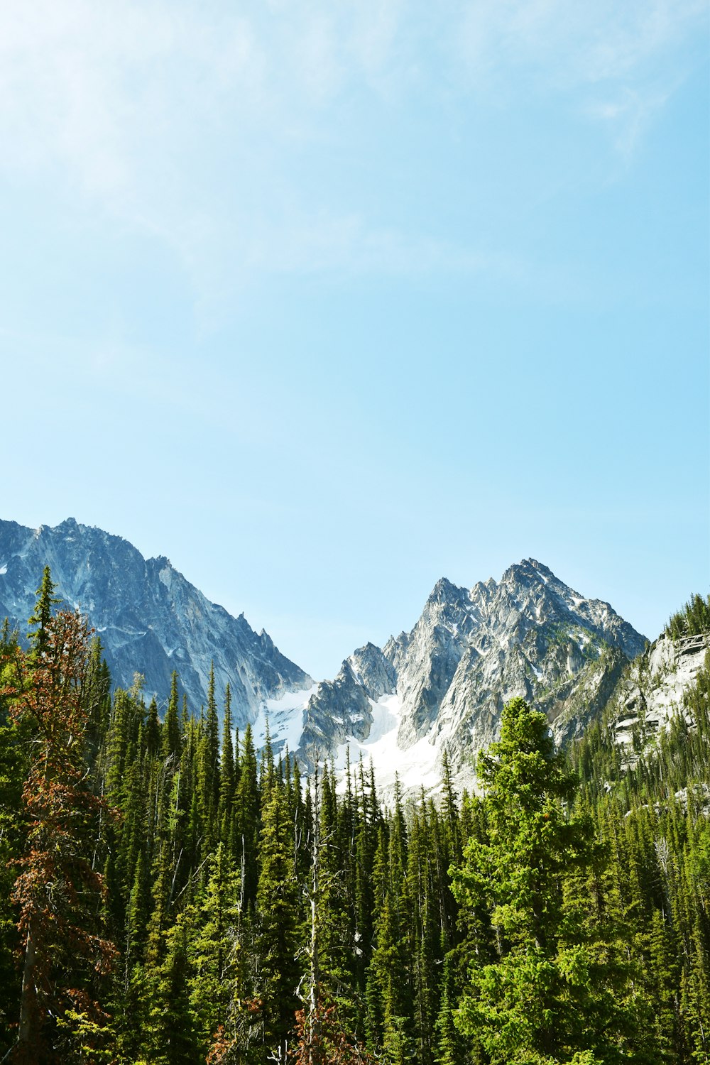 a view of a mountain range with trees in the foreground