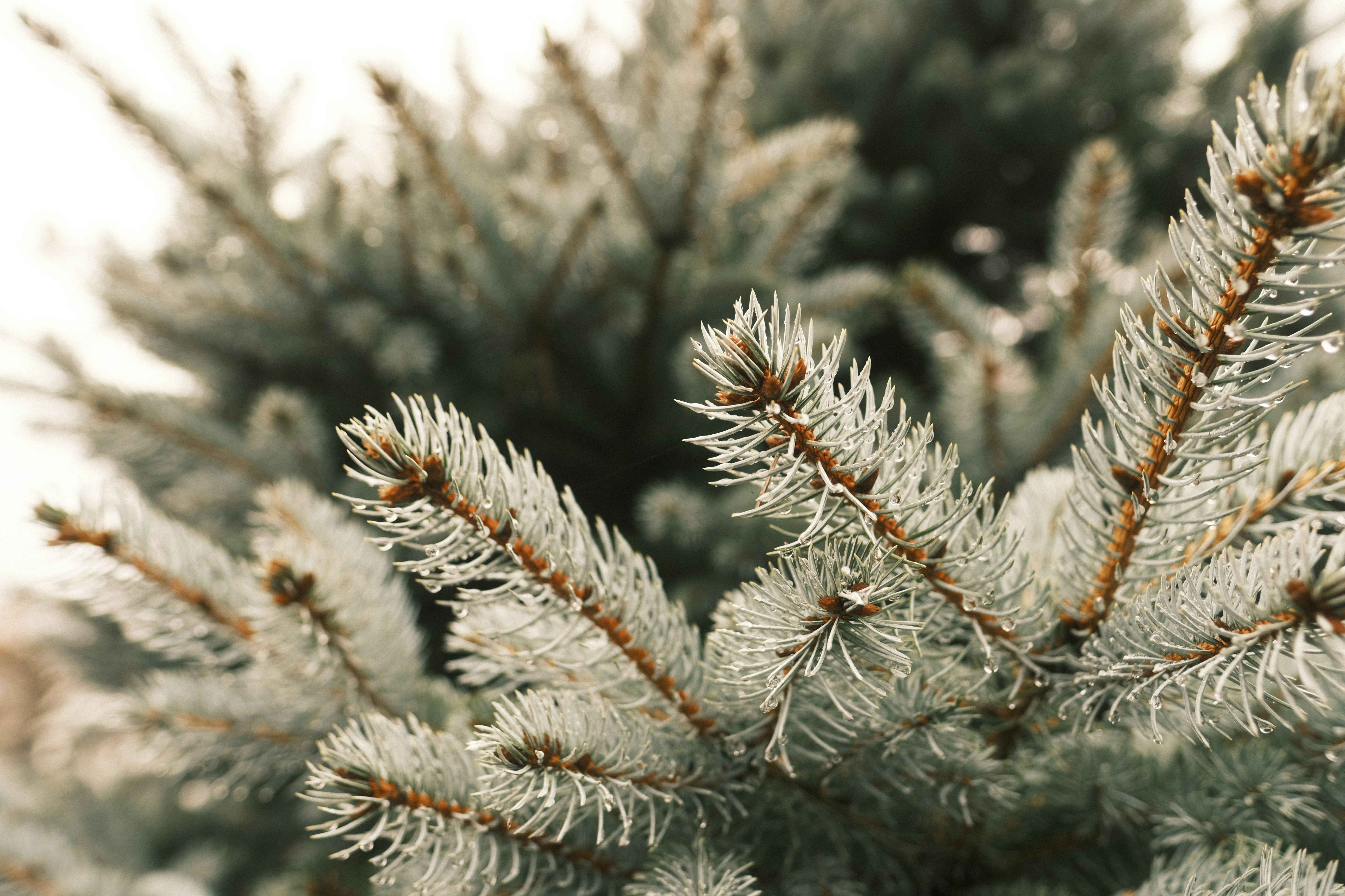 Photo by chandleraitchison