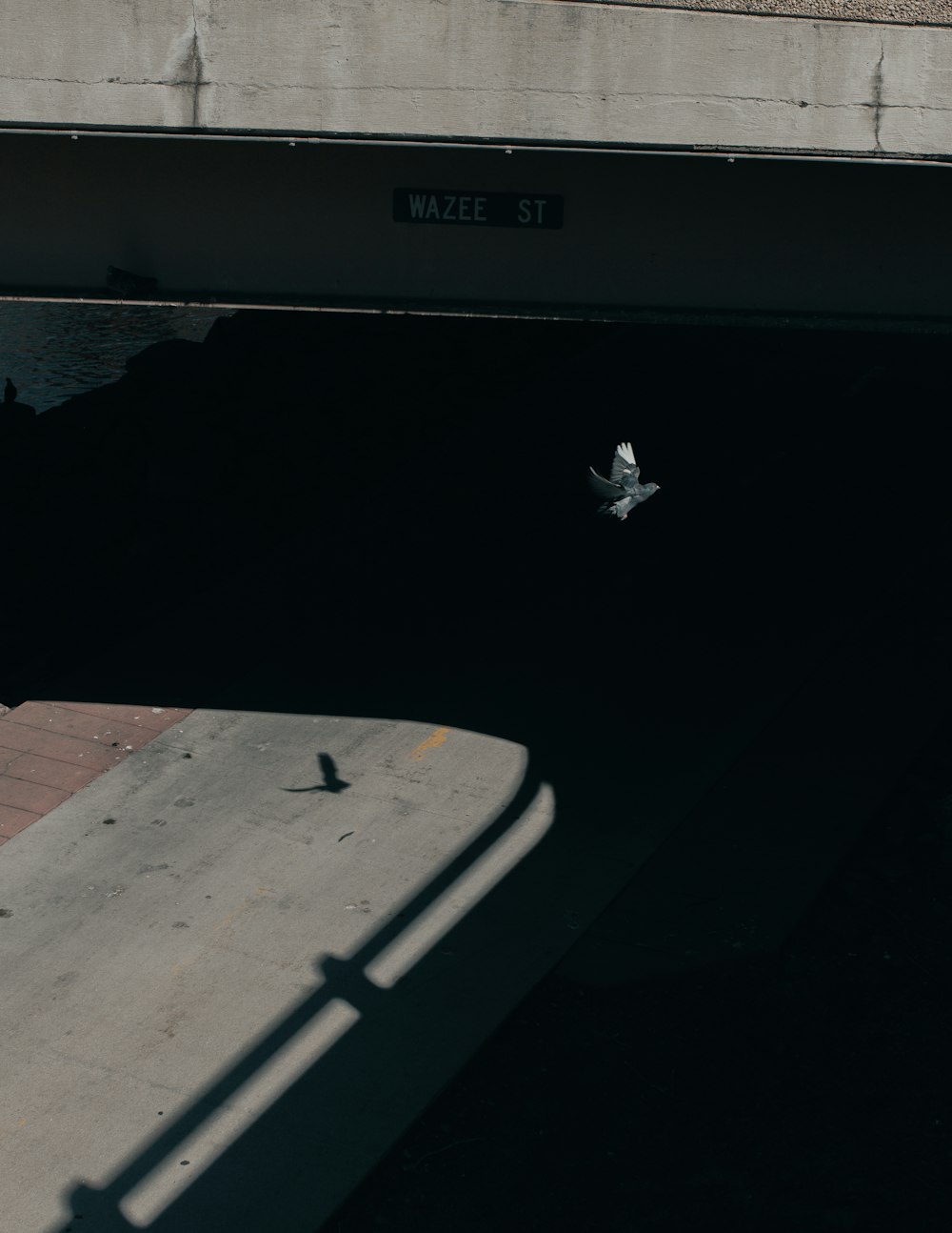 a bird flying under a bridge over a body of water