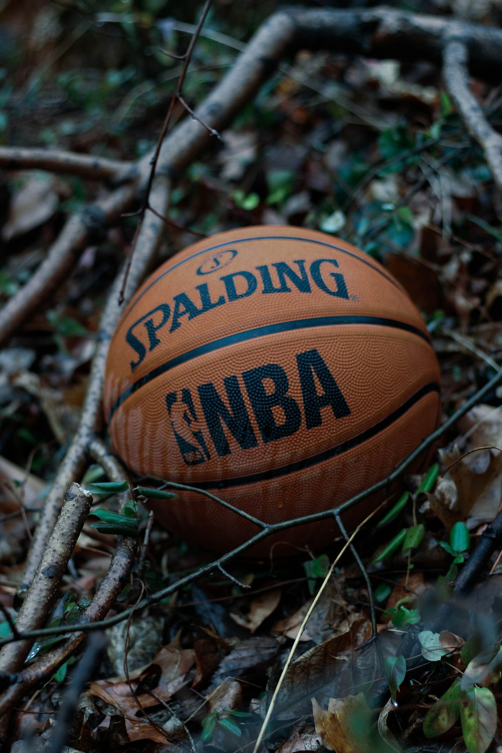 a basketball sitting on the ground surrounded by branches