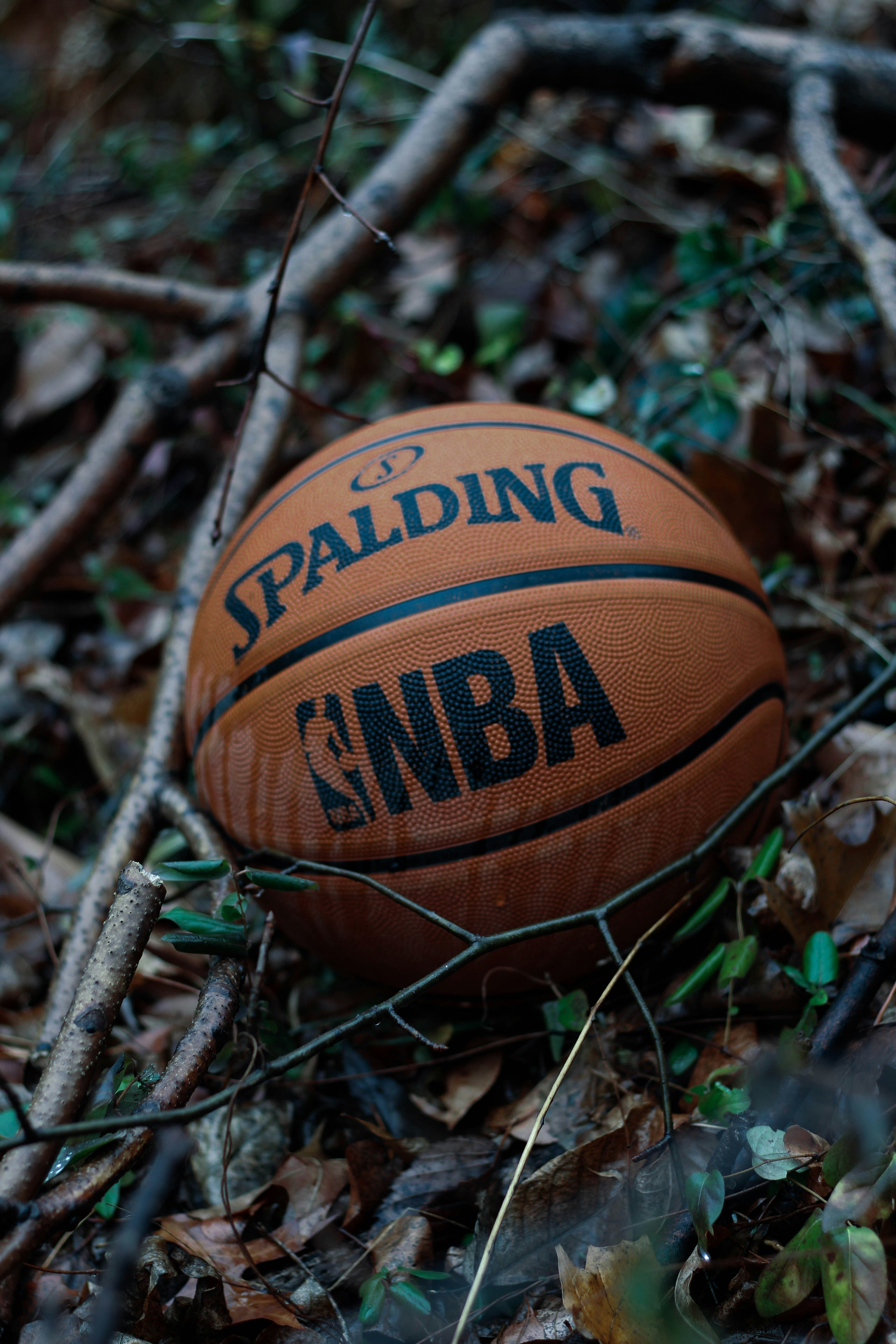 hola camisetas baratas nba