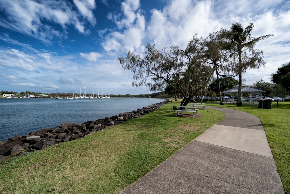 a path next to a body of water