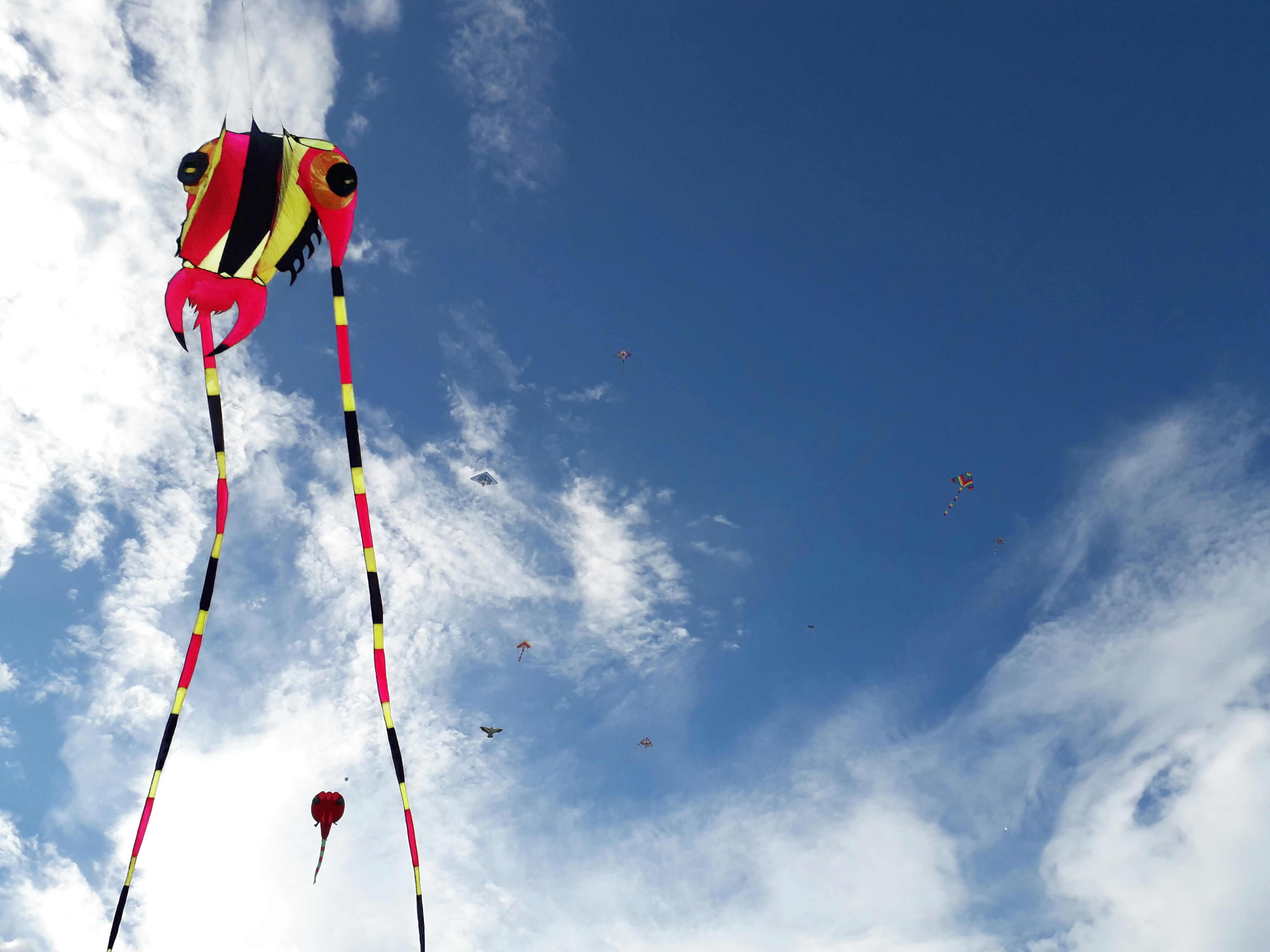 A kite flying in the air with a sky background photo Free Hong kong
