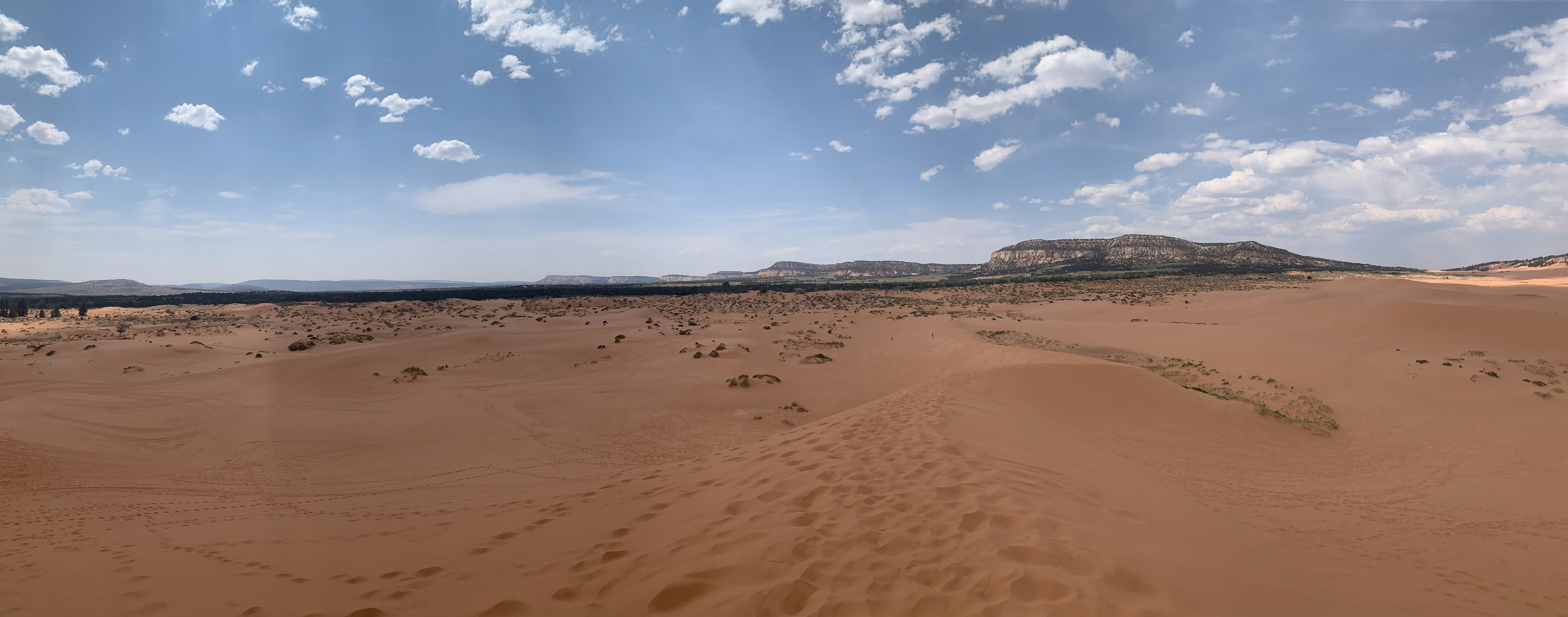 desert sand - desert sand