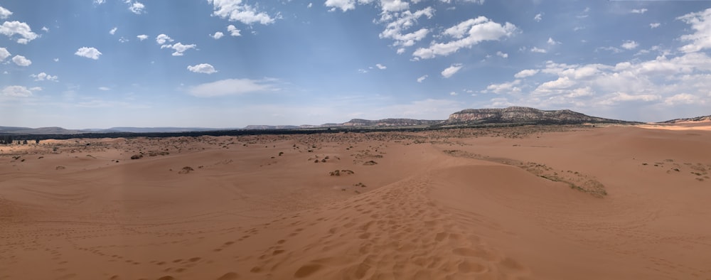 a wide view of a desert with a mountain in the distance