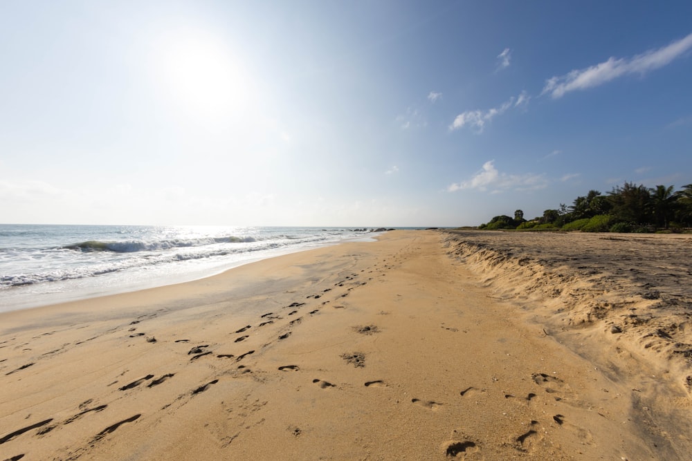 a sandy beach next to the ocean under a blue sky