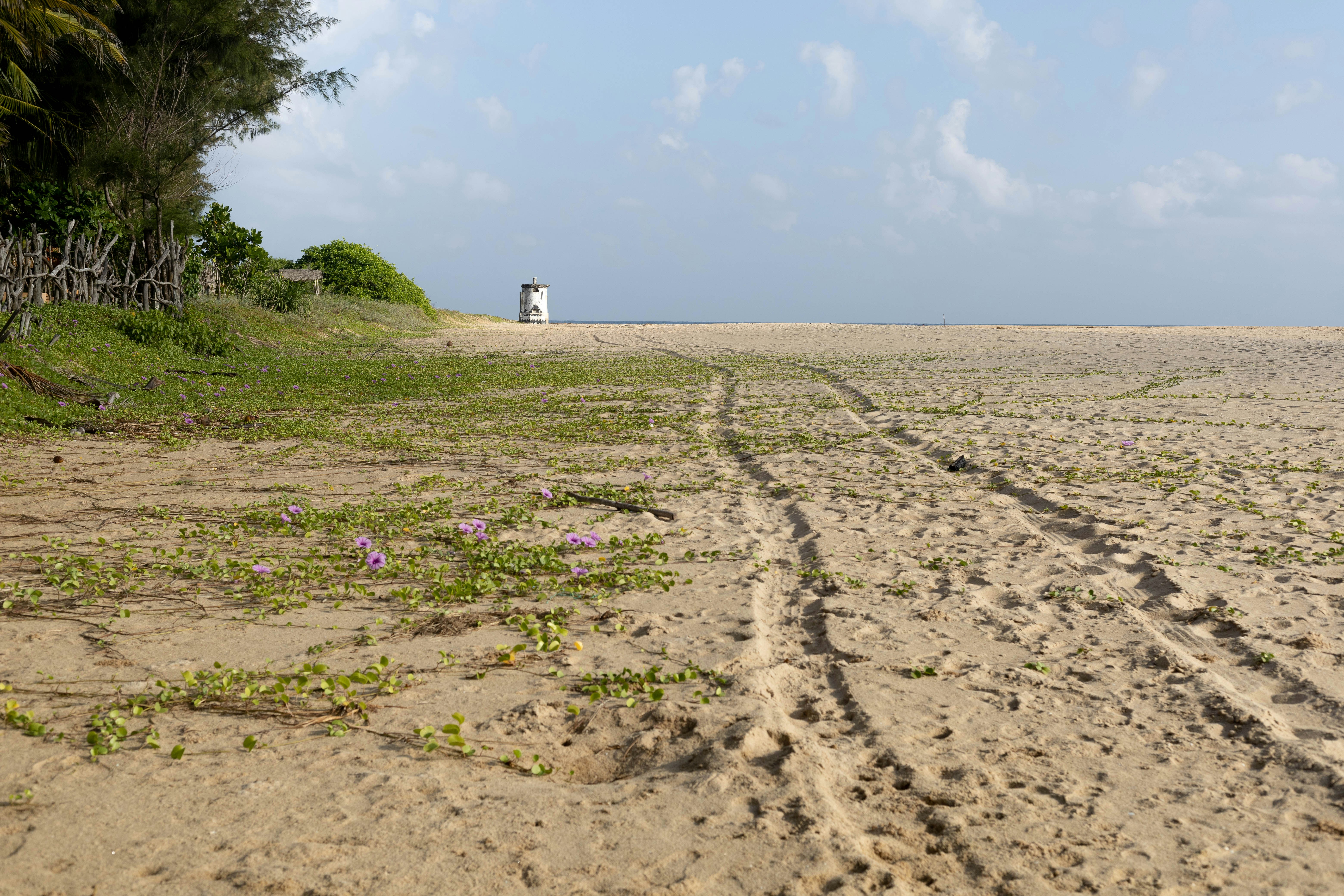 Photo by 94lifestyle