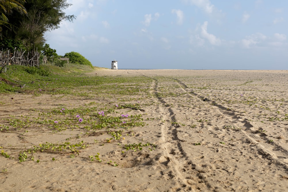 a sandy beach with a couple of tracks in the sand