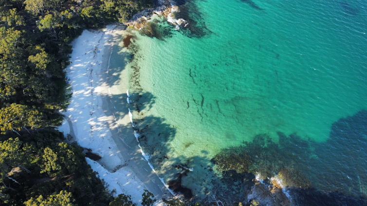 an aerial view of a beach and a body of water