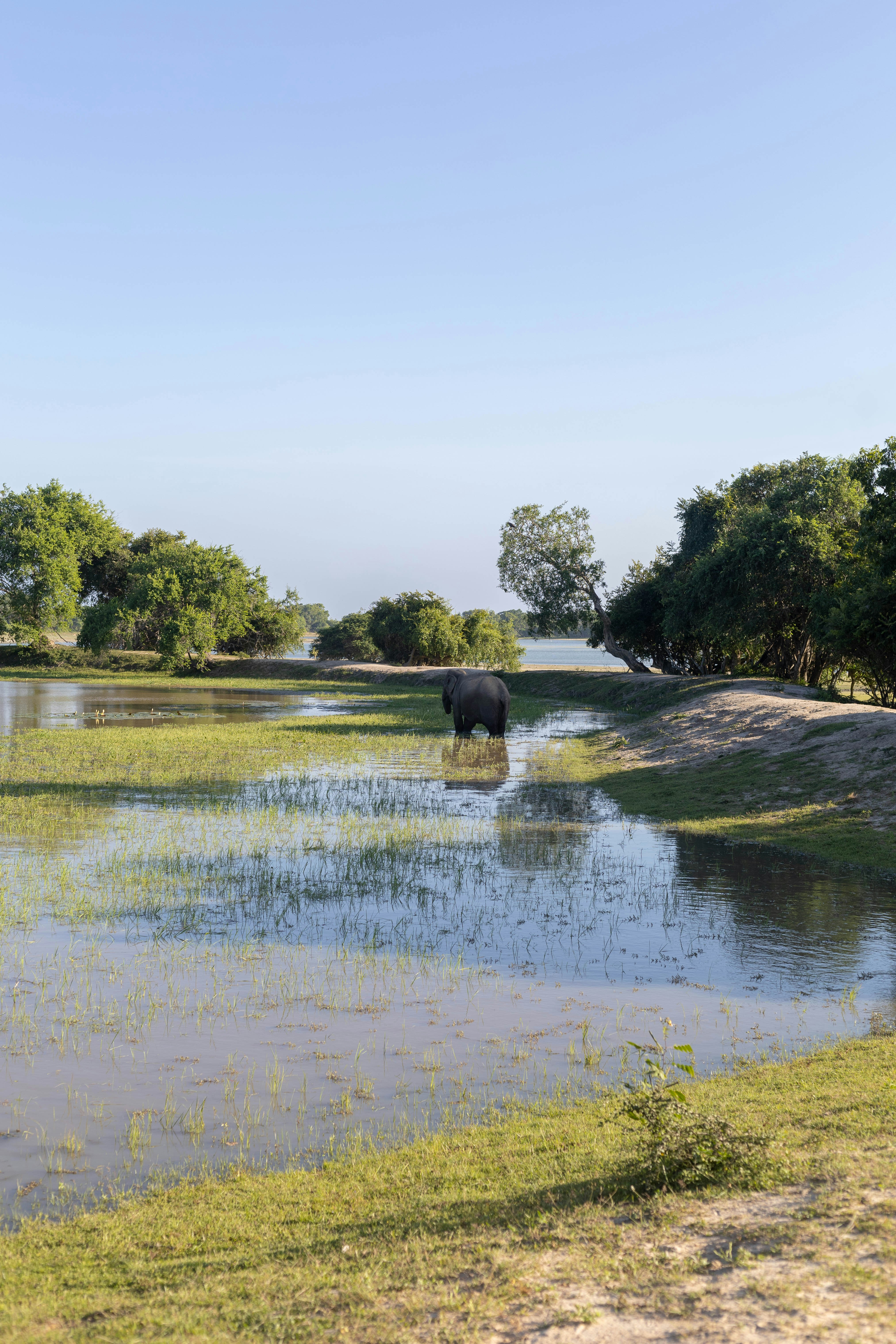 Photo by 94lifestyle