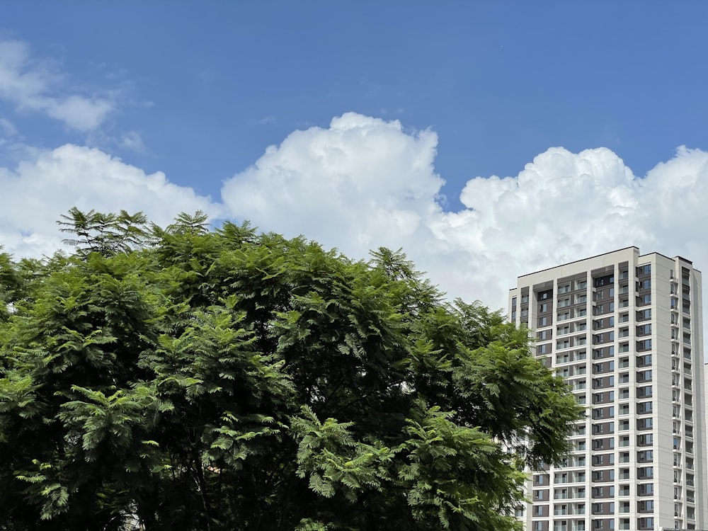 a tall white building sitting next to a lush green tree