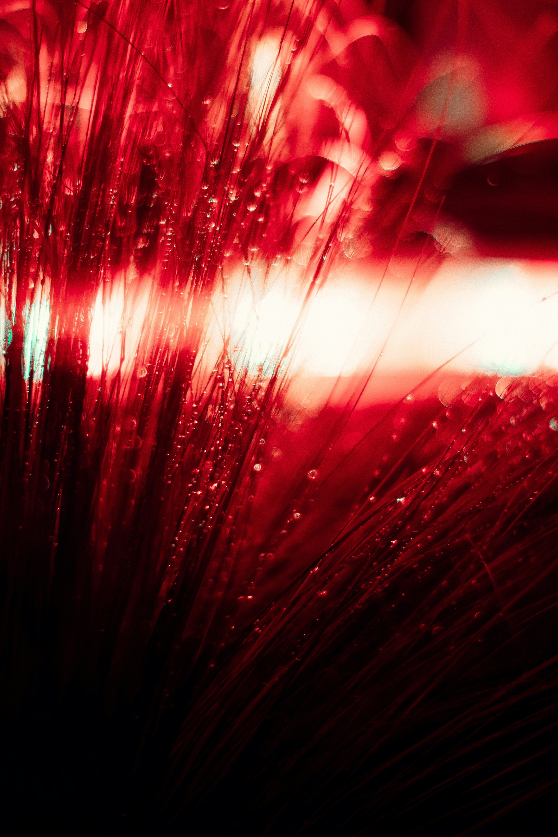 Photo by nick_vandervegt