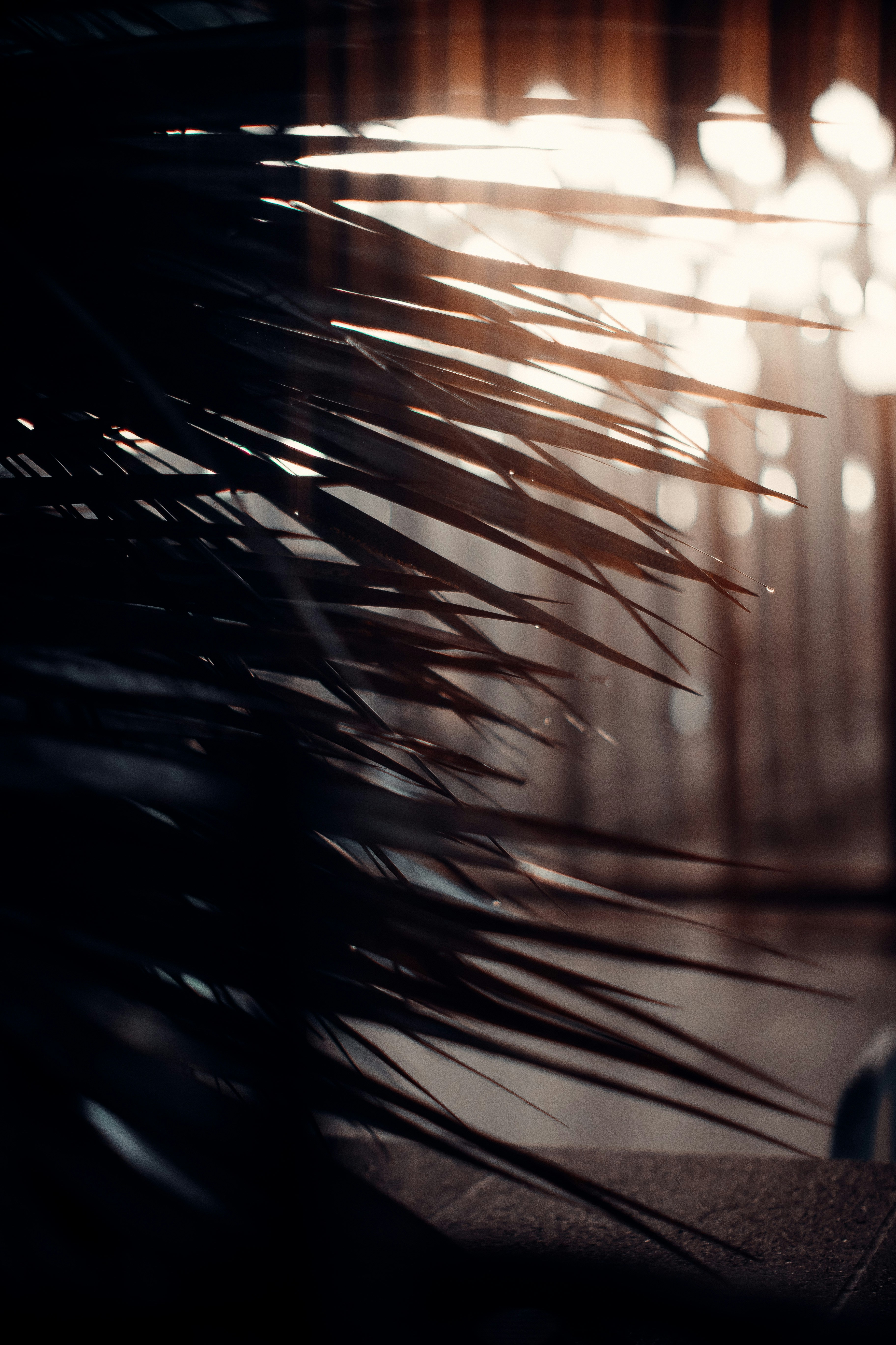 Photo by nick_vandervegt