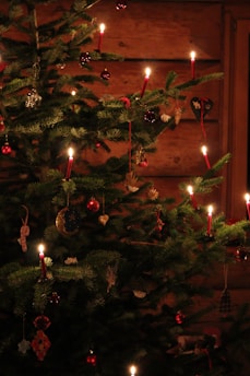a christmas tree with a lit candle in it