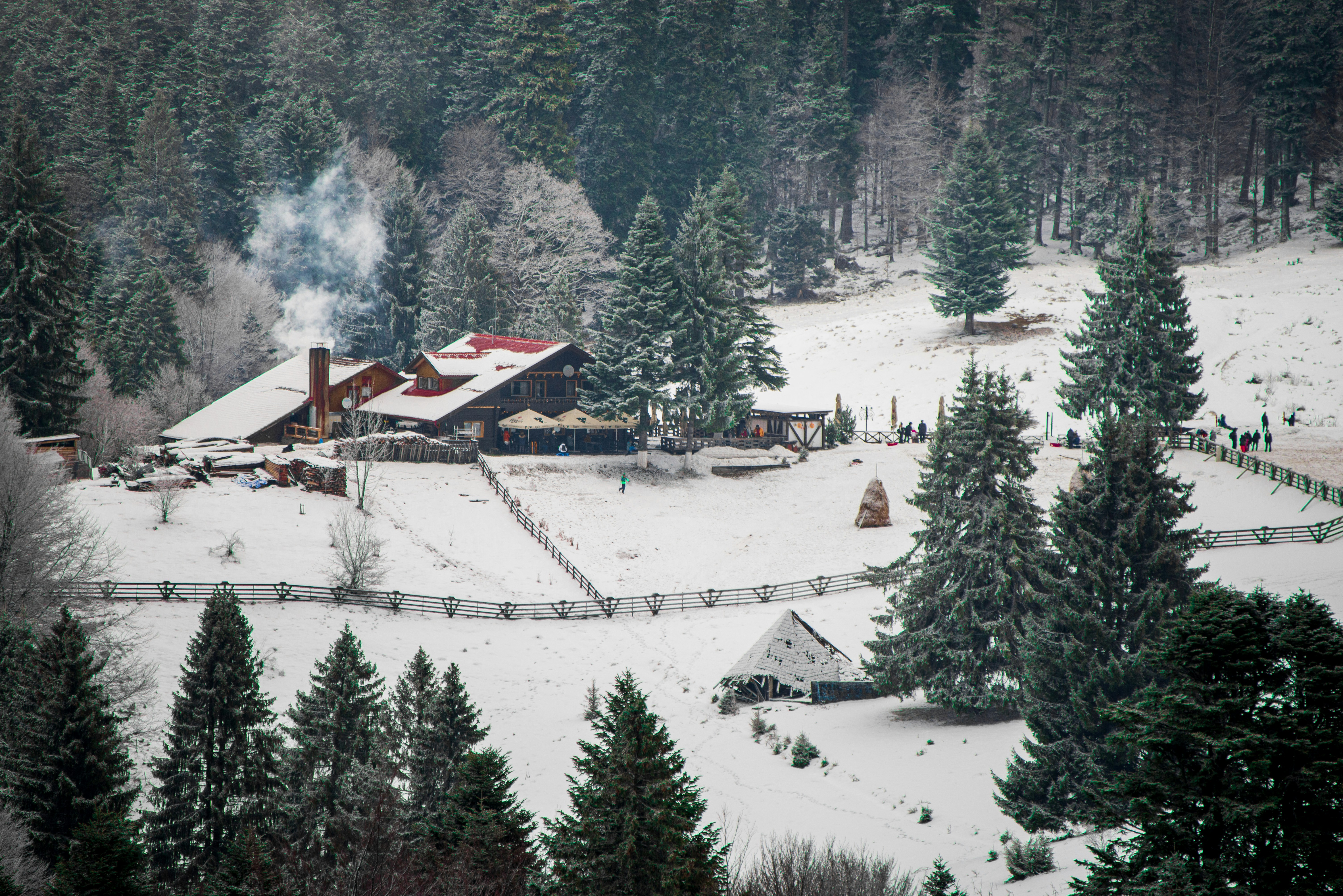 Photo by paulthephotographer