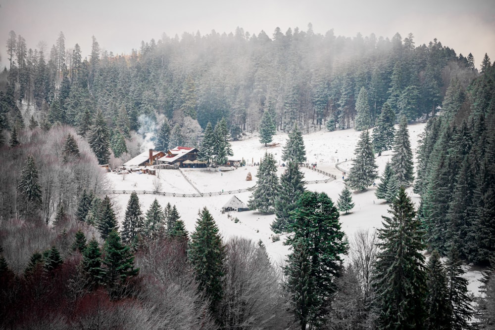 a house in the middle of a forest covered in snow