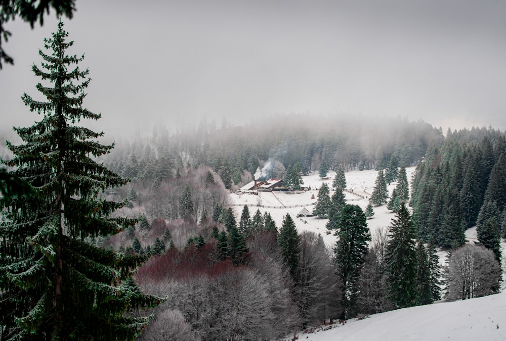 a snow covered mountain with a house in the distance