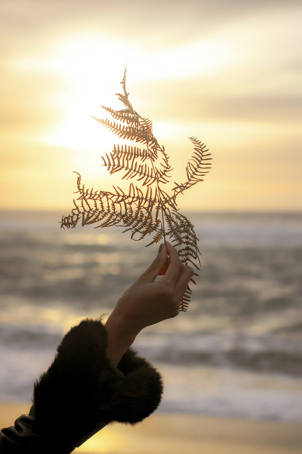 a person holding a plant in front of the ocean