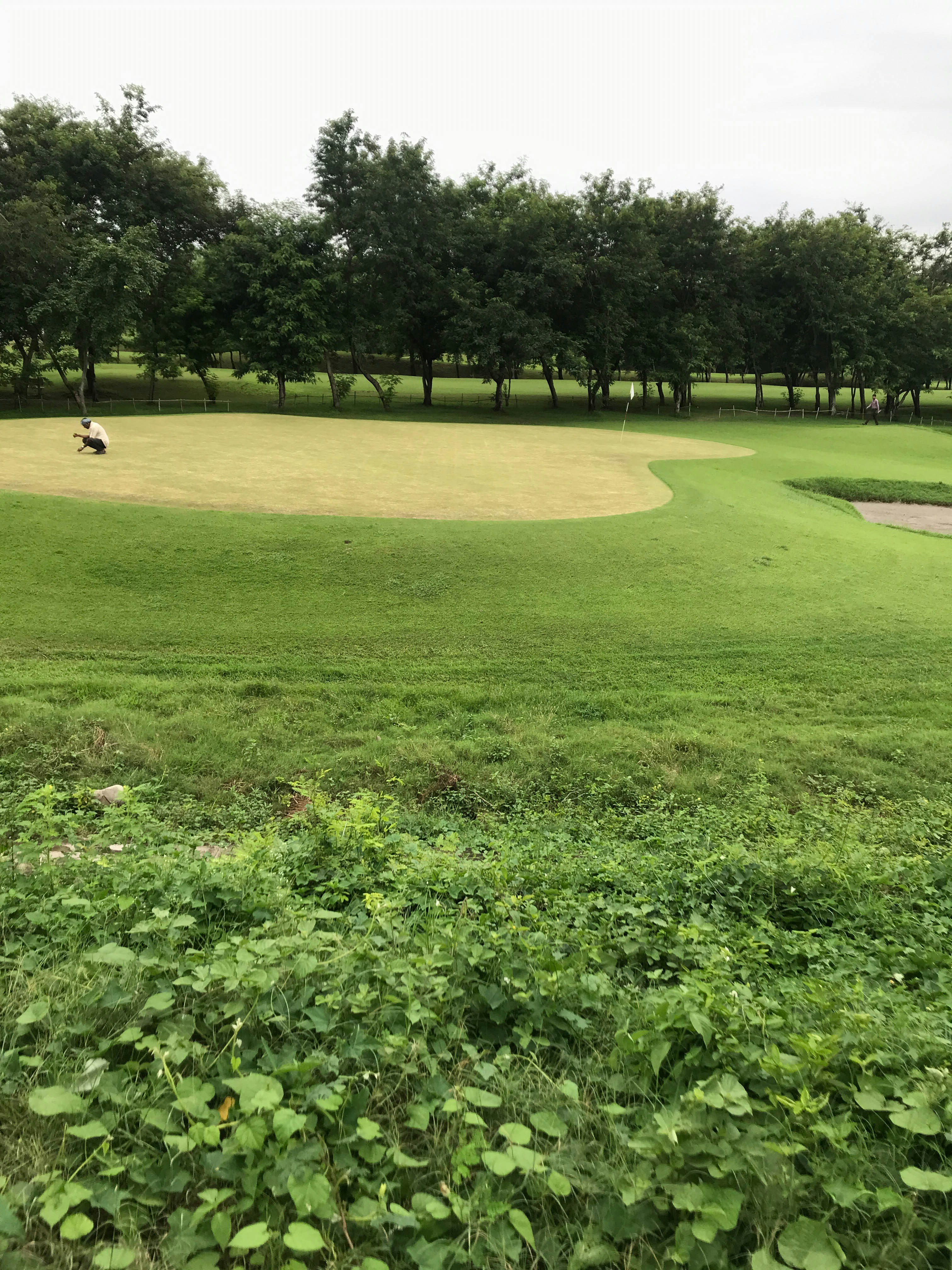 Championship golf course with professional greenkeepers