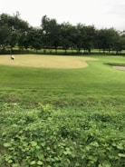 Close-up of hands planting new grass on a tee box with golf clubs in background.