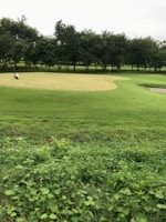 Close-up of players putting on a well-maintained green surrounded by native trees