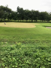 A team of professionals inspecting a golf green with specialized equipment.