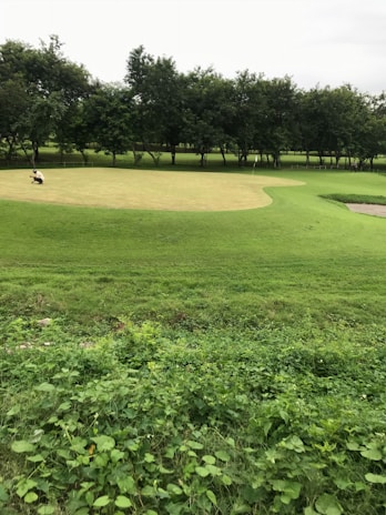A professional coach guiding a junior player on a meticulously maintained golf academy green.
