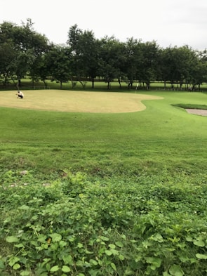 Close-up of players putting on a well-maintained green surrounded by native trees