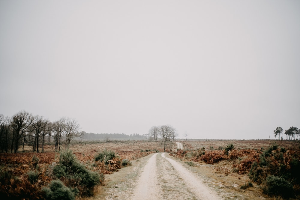 a dirt road in the middle of a field