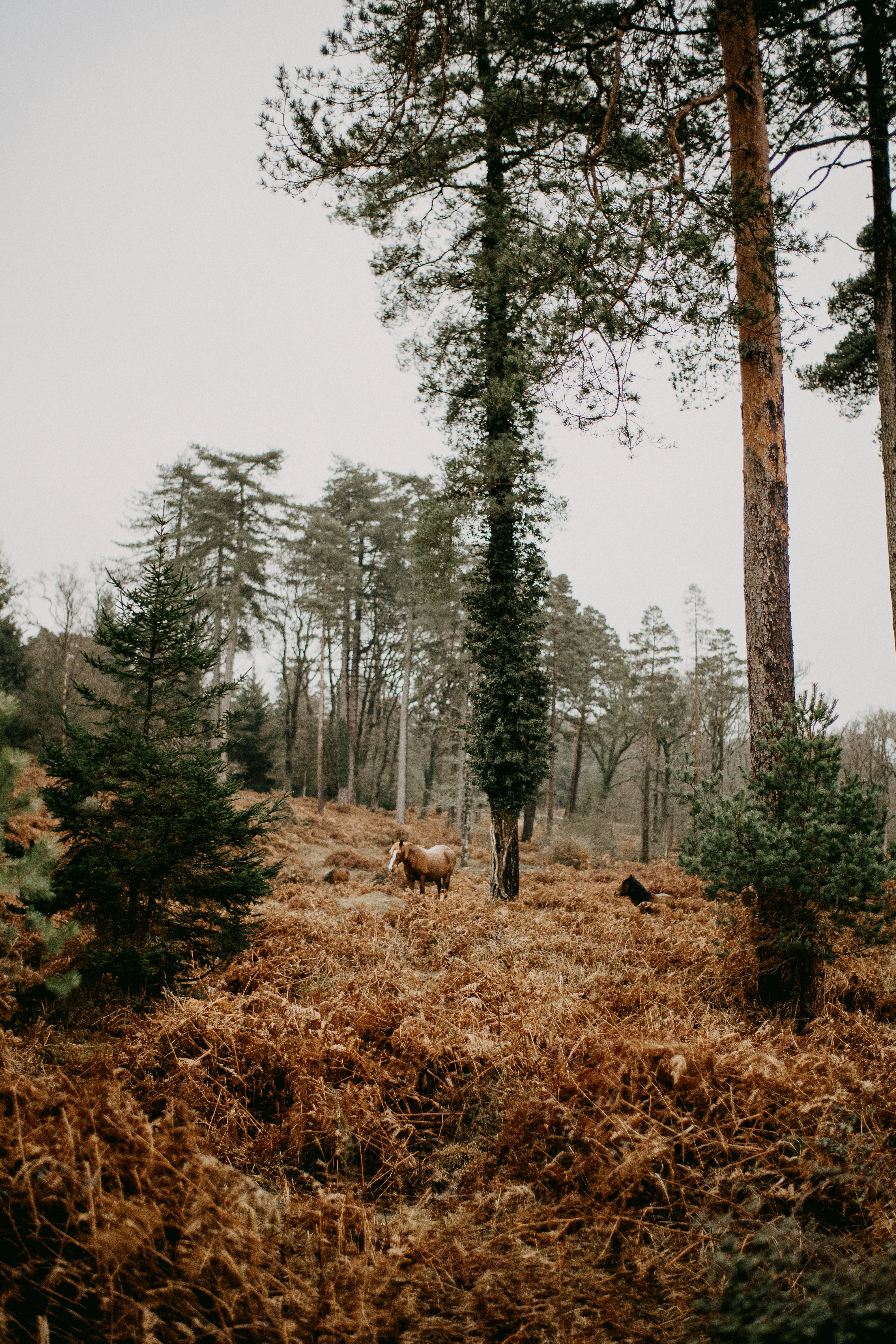 Photo by anniespratt