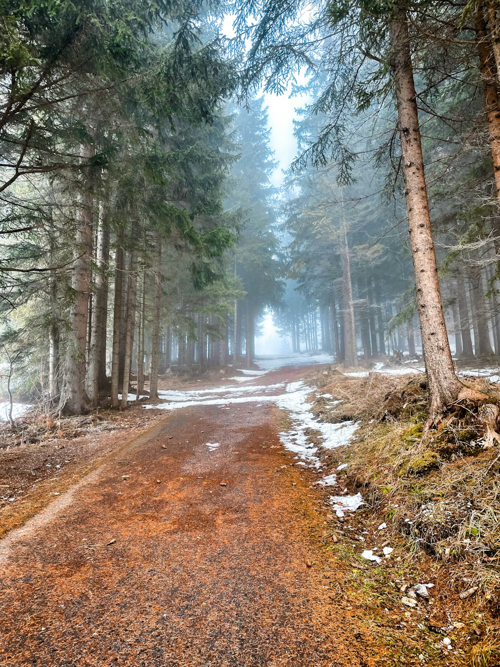 Ein Feldweg mitten im Wald