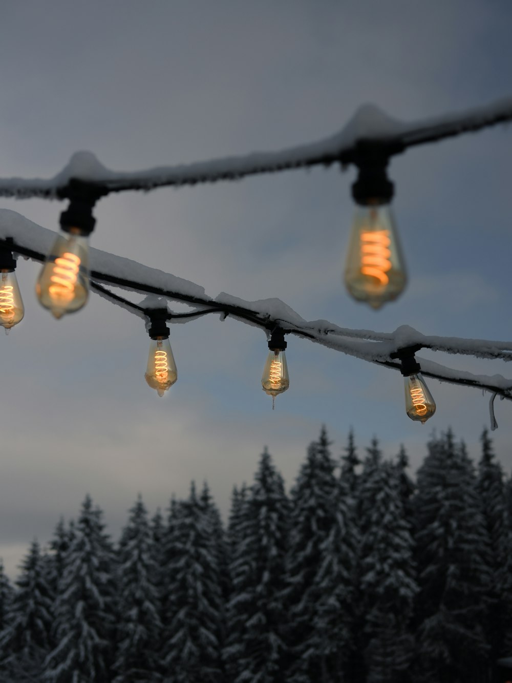a bunch of light bulbs hanging from a wire