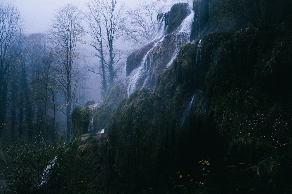 a waterfall in the middle of a forest on a foggy day