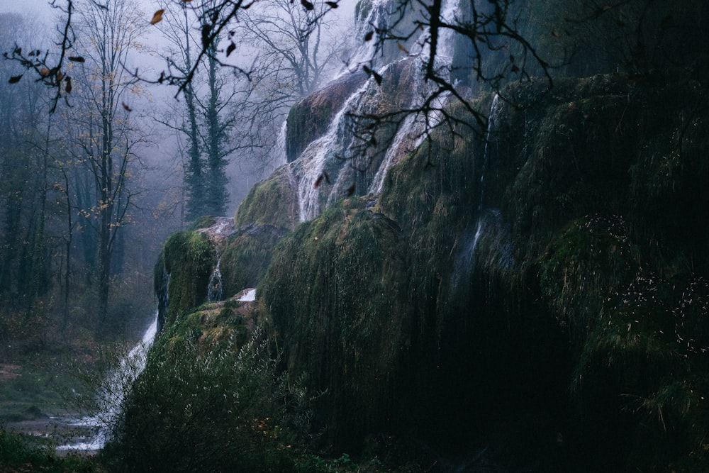 a waterfall in the middle of a forest