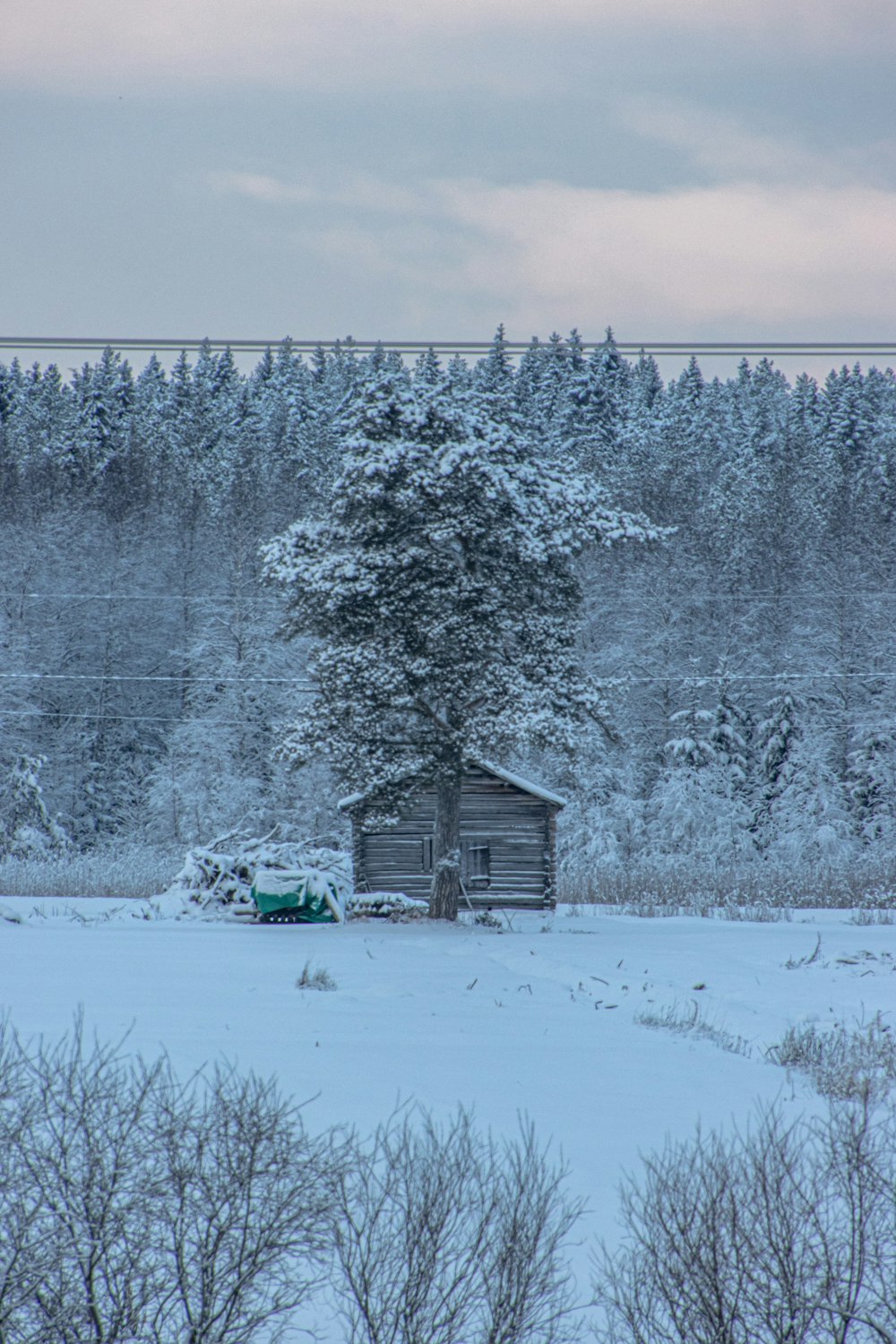 uma cabana no meio de um campo nevado
