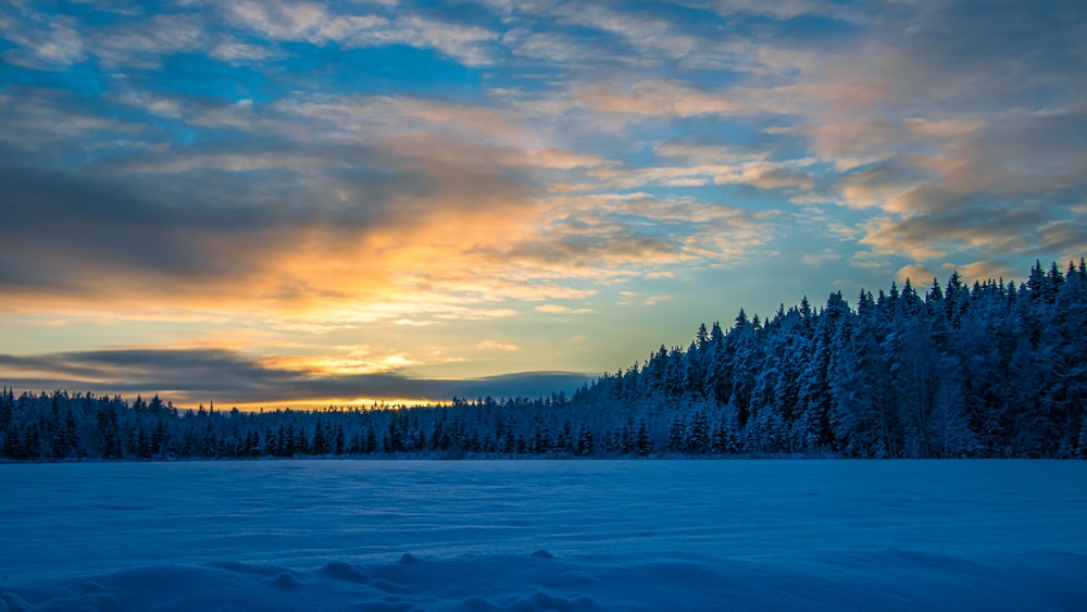 a snow covered field with trees in the background