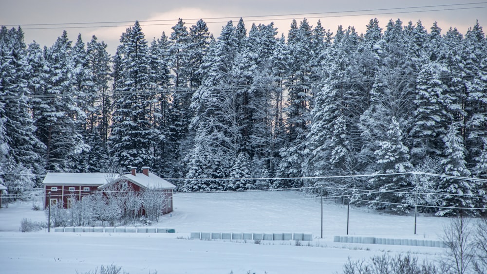 um campo coberto de neve com uma casa vermelha no fundo