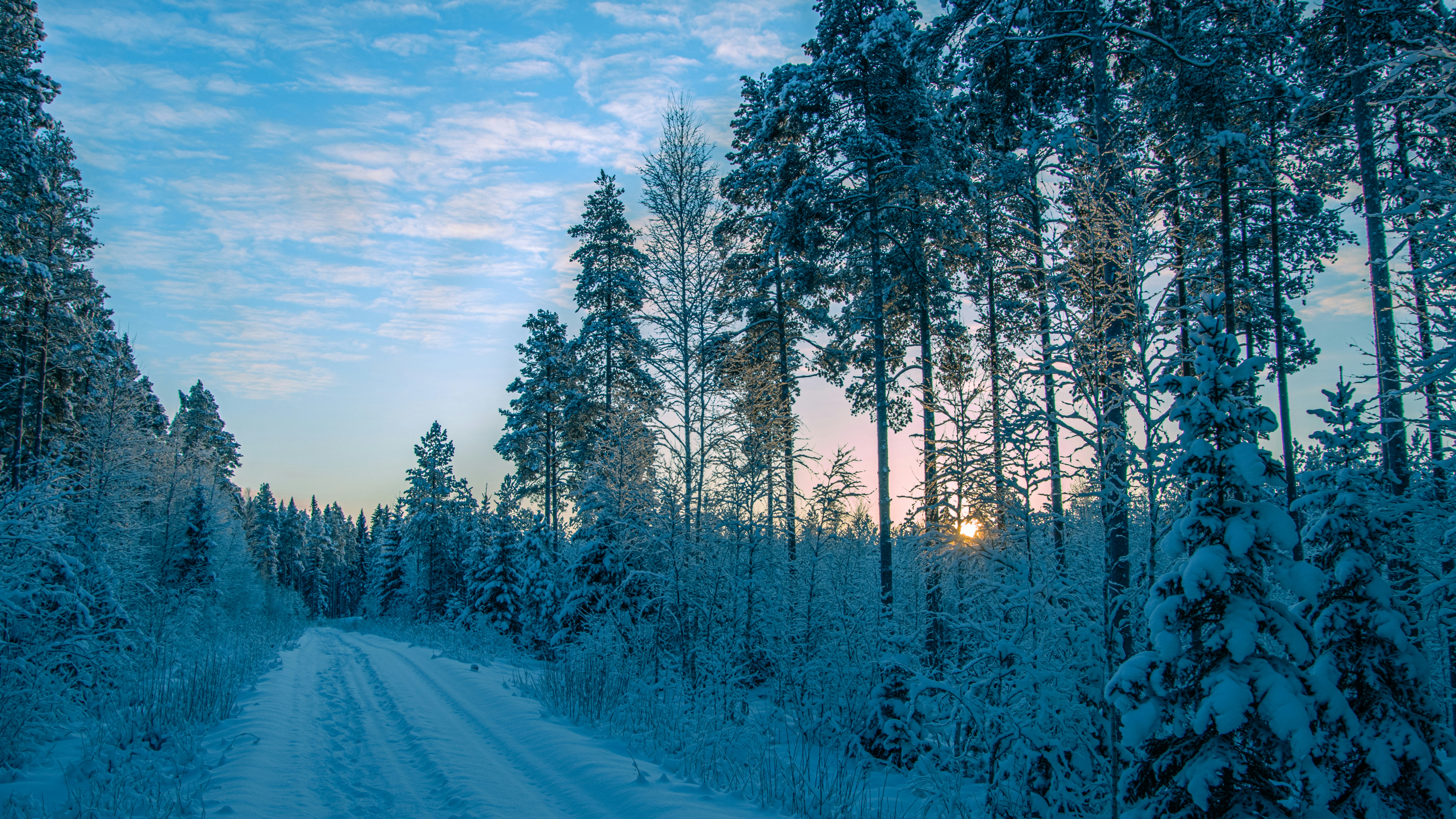 a snow covered road in the middle of a forest