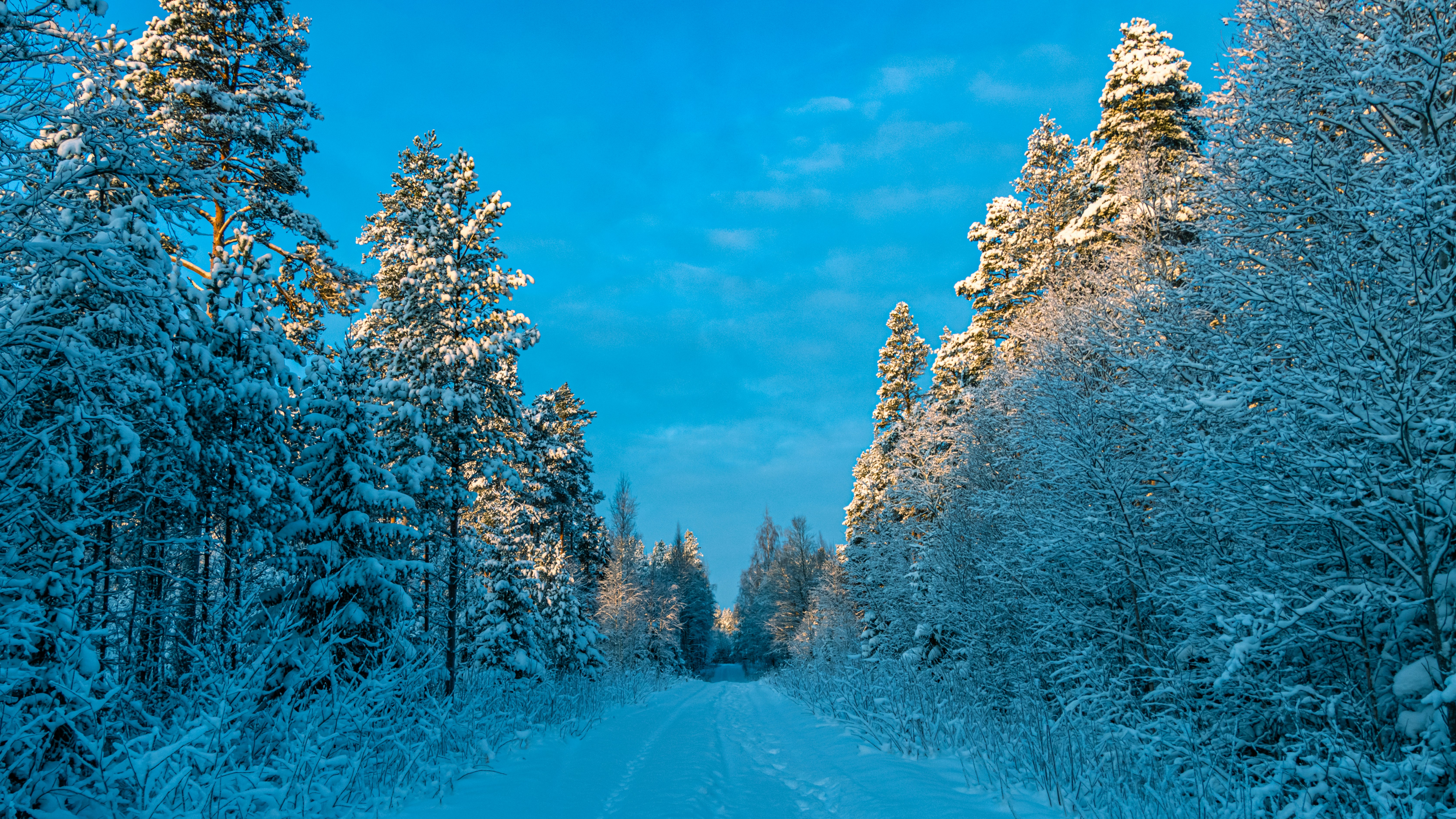 Photo by juho_aleksi_luomala