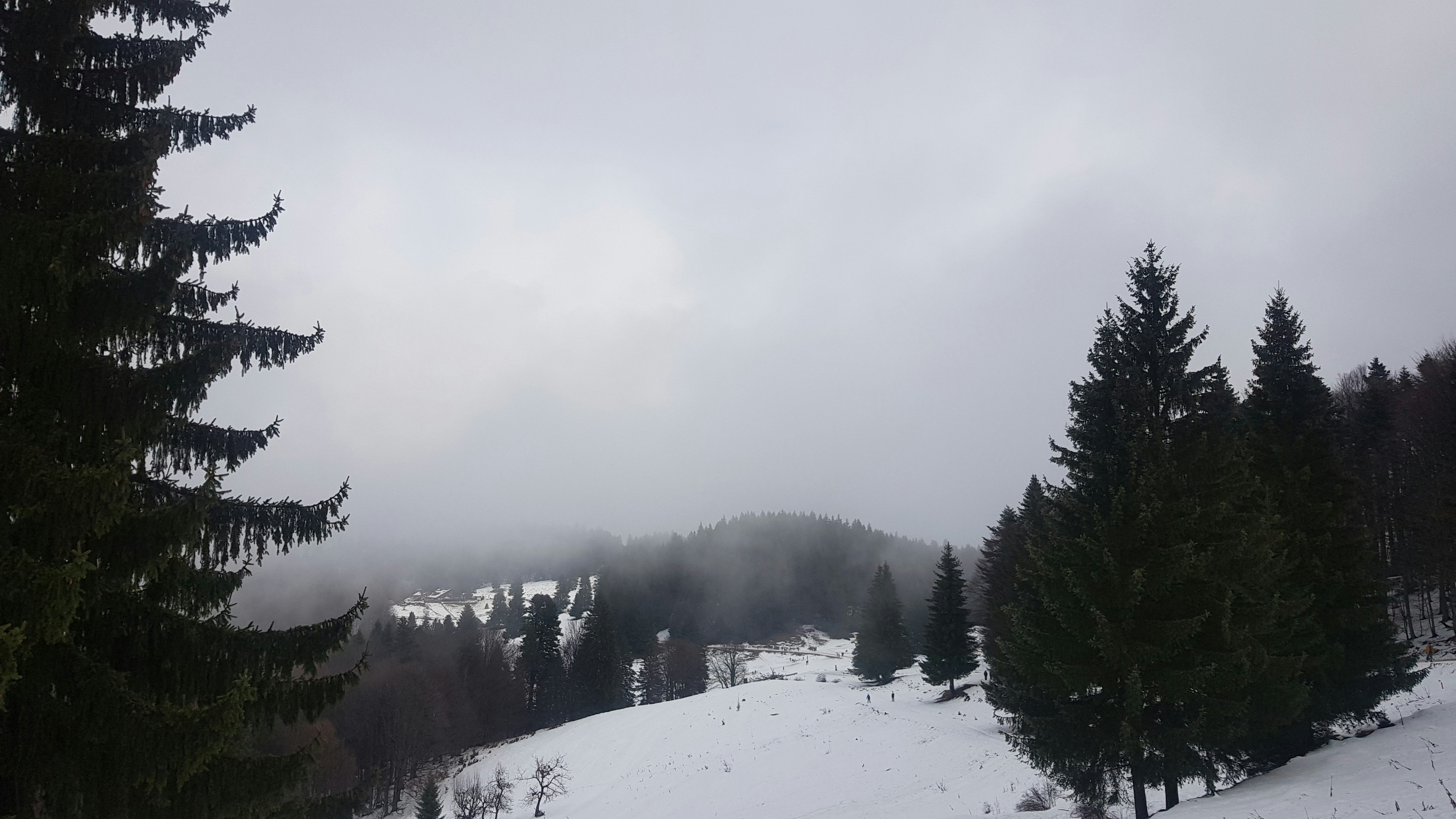 a snow covered hill with trees and a house in the distance