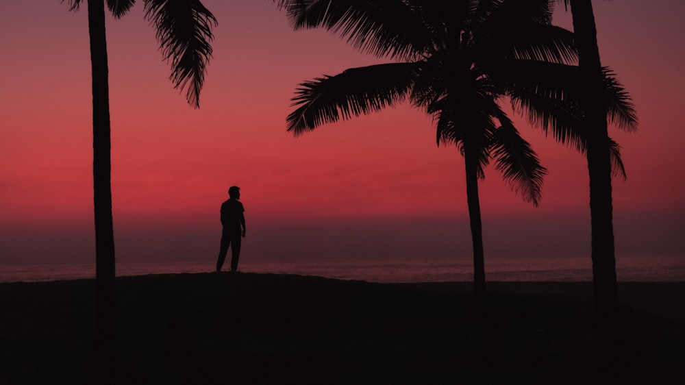 a man standing on a beach next to palm trees