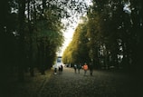 A group walking quietly along a forest path covered with autumn leaves.