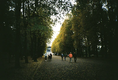 A peaceful forest walk with a small group strolling along a leafy path surrounded by autumn colors.