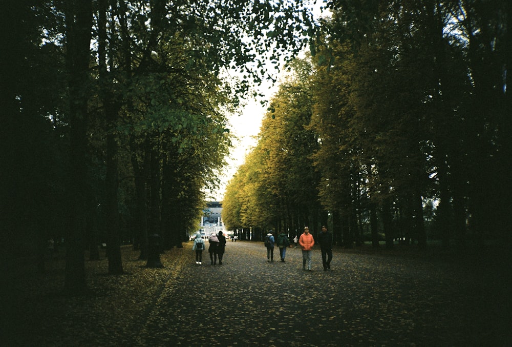 a group of people walking down a tree lined road