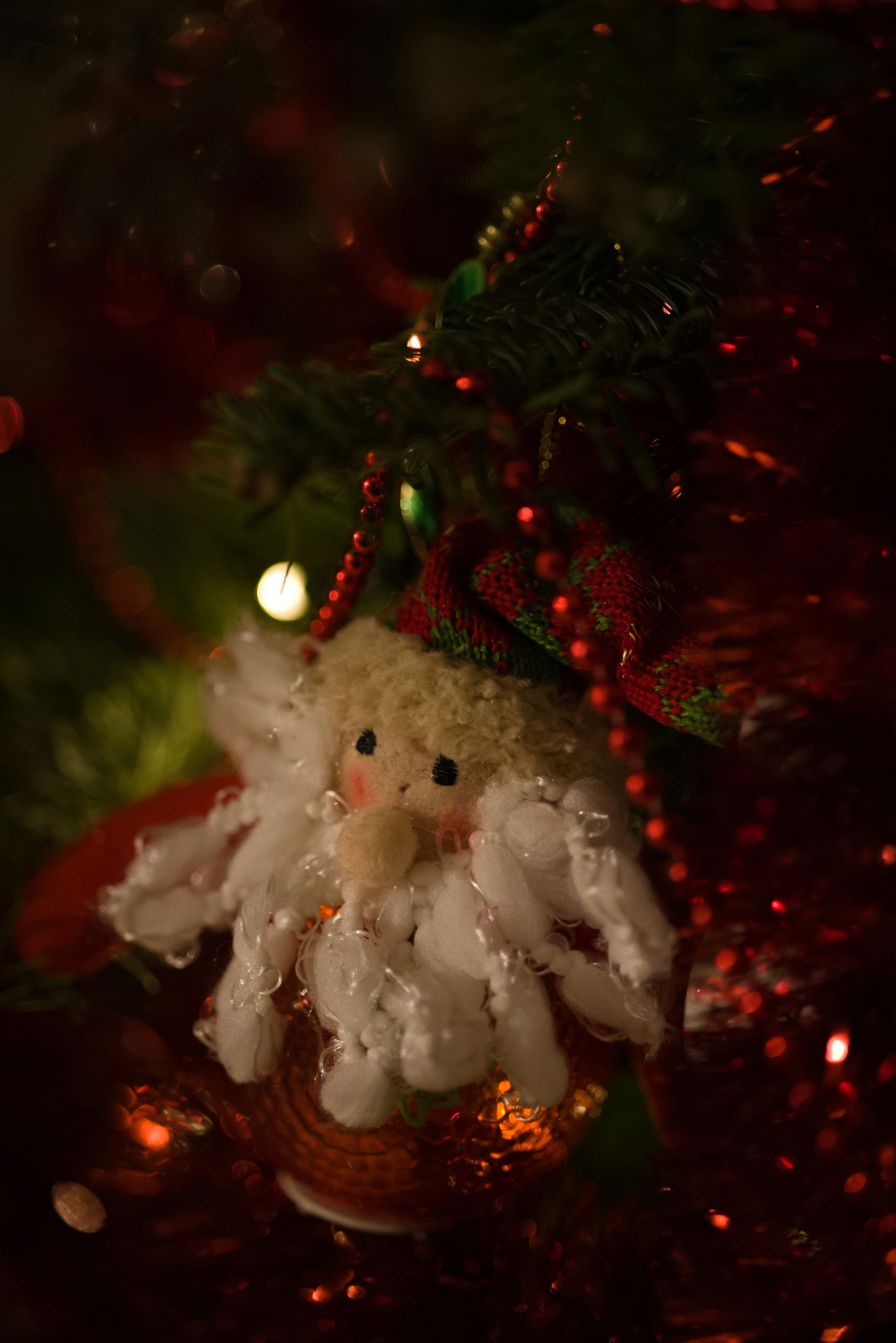 a close up of a christmas ornament on a tree