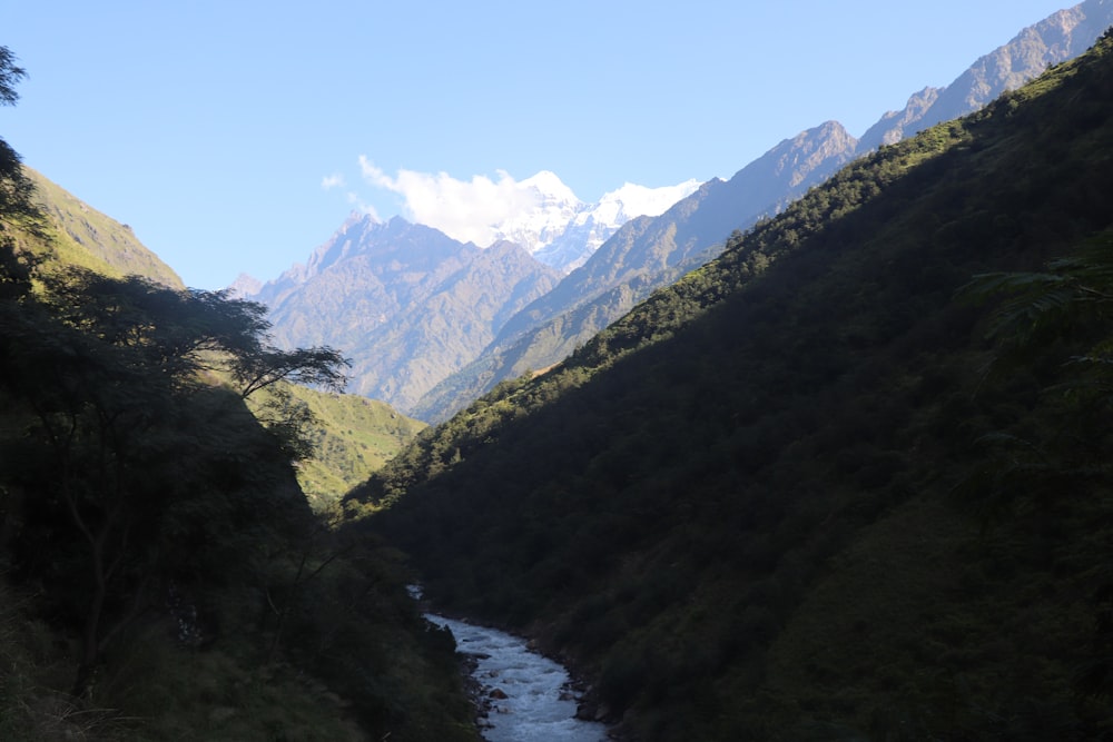 a river running through a lush green valley